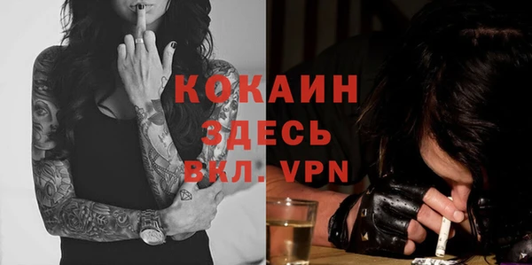 индика Белокуриха