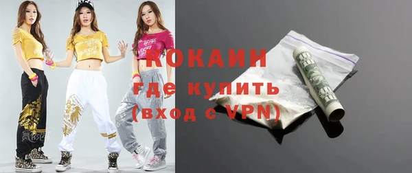 индика Белокуриха