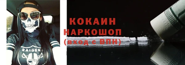 индика Белокуриха