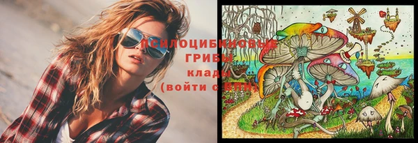 индика Белокуриха