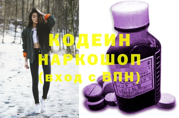 индика Белокуриха
